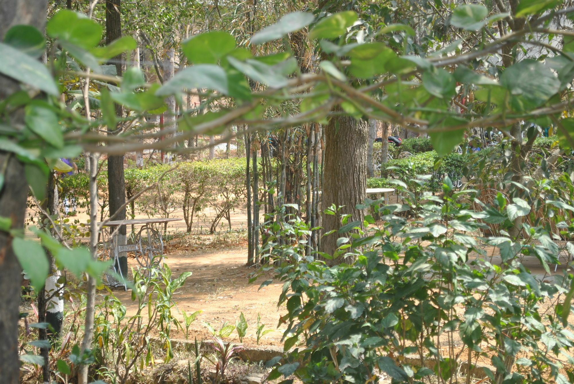 Eagle Ridge Resort Bengalúr Exteriér fotografie
